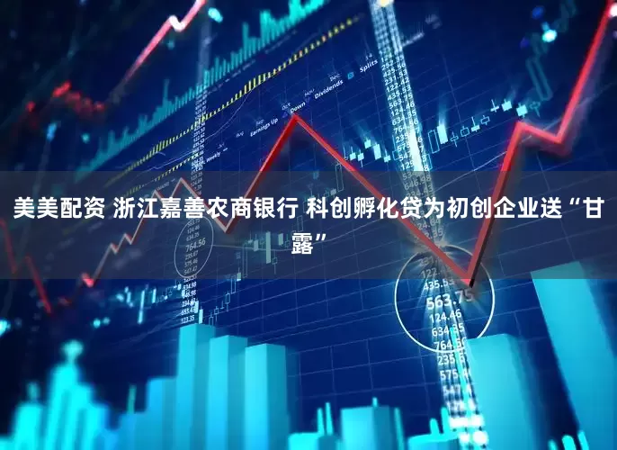 美美配资 浙江嘉善农商银行 科创孵化贷为初创企业送“甘露”